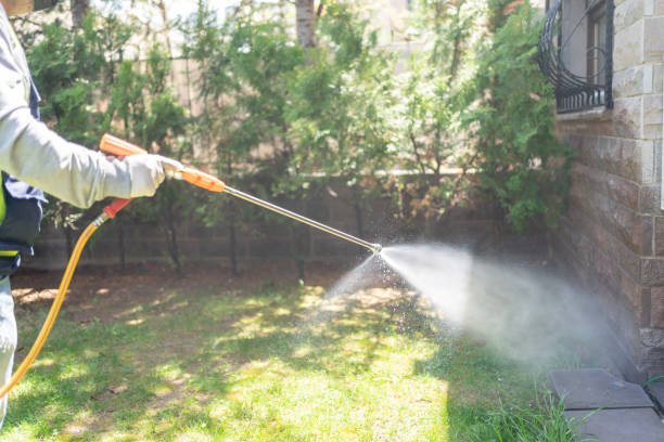 Best Exterminator Services  in Herald, CA
