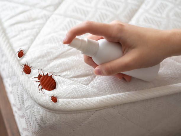 Best Ant Control Services  in Herald, CA