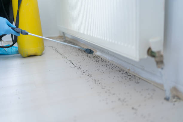 Best Best Pest Control Companies  in Herald, CA